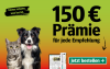 Werbebanner: 150 Euro Prämie für jede Empfehlung Ihrer Tageszeitung, um immer informiert zu sein. Jetzt bestellen.